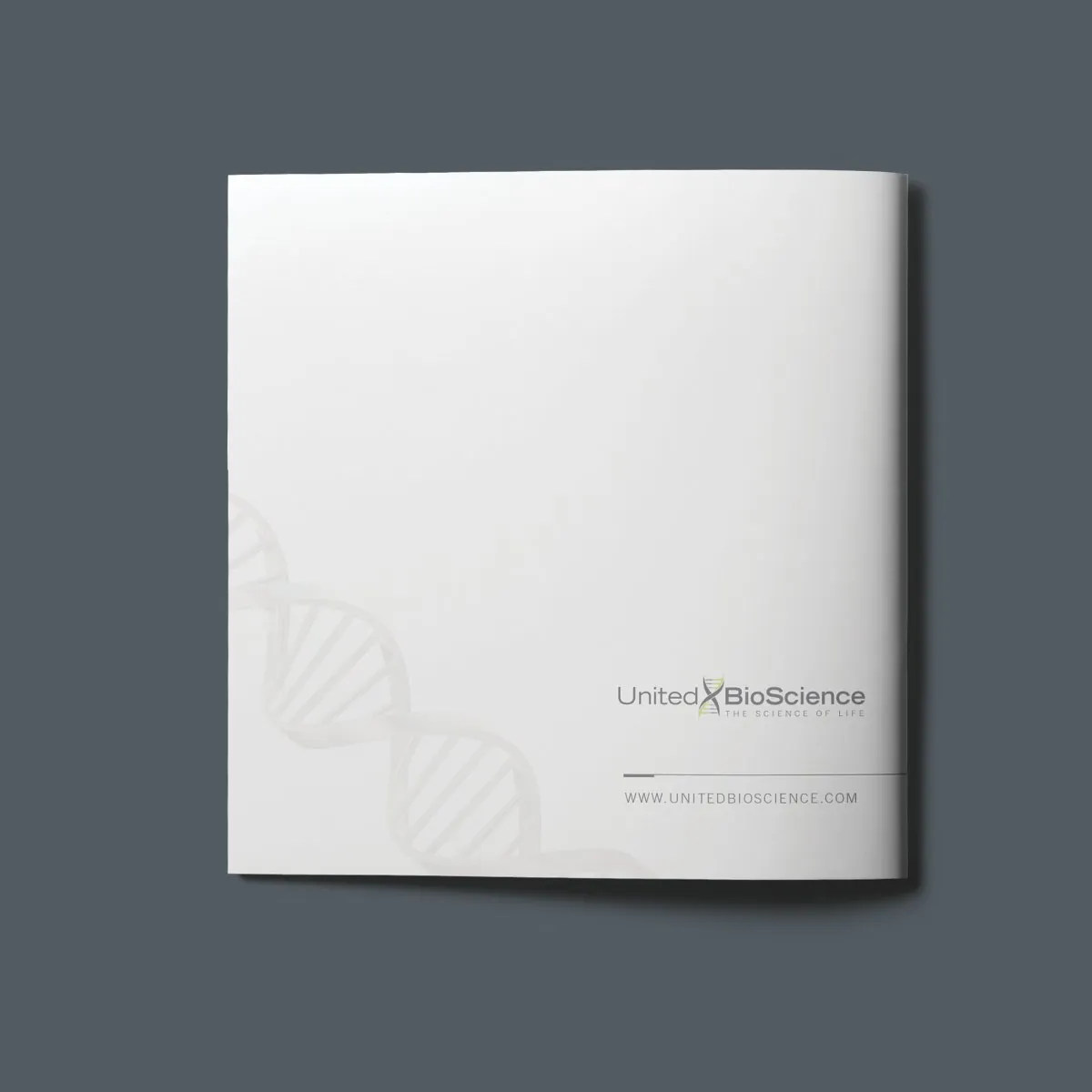 United Bioscience brochure back cover with the logo, helix and website address
