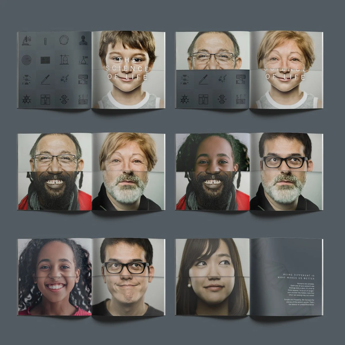 Six brochure spreads where the top and bottom halves of different faces are combined into new portraits
