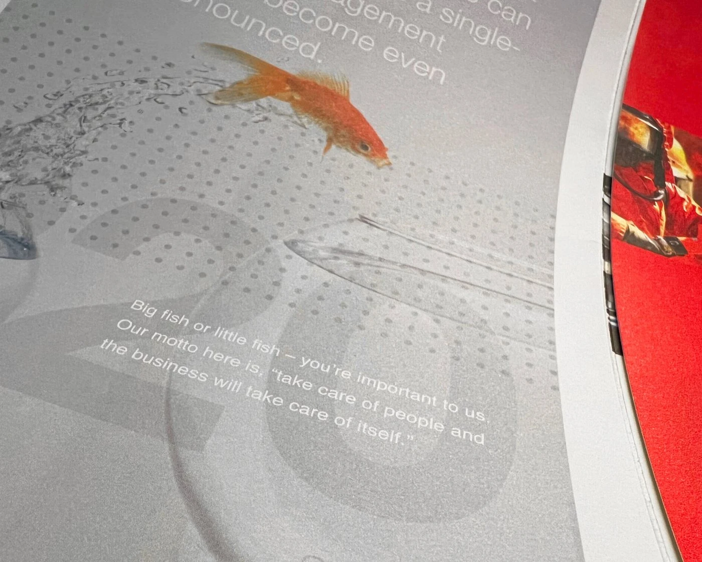 Close-up of the goldfish panel with the line “Big fish or little fish, you’re important to us”