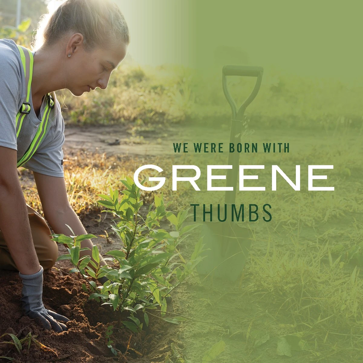 GREENE ad “We were born with Greene thumbs” with a woman planting a shrub at sunrise