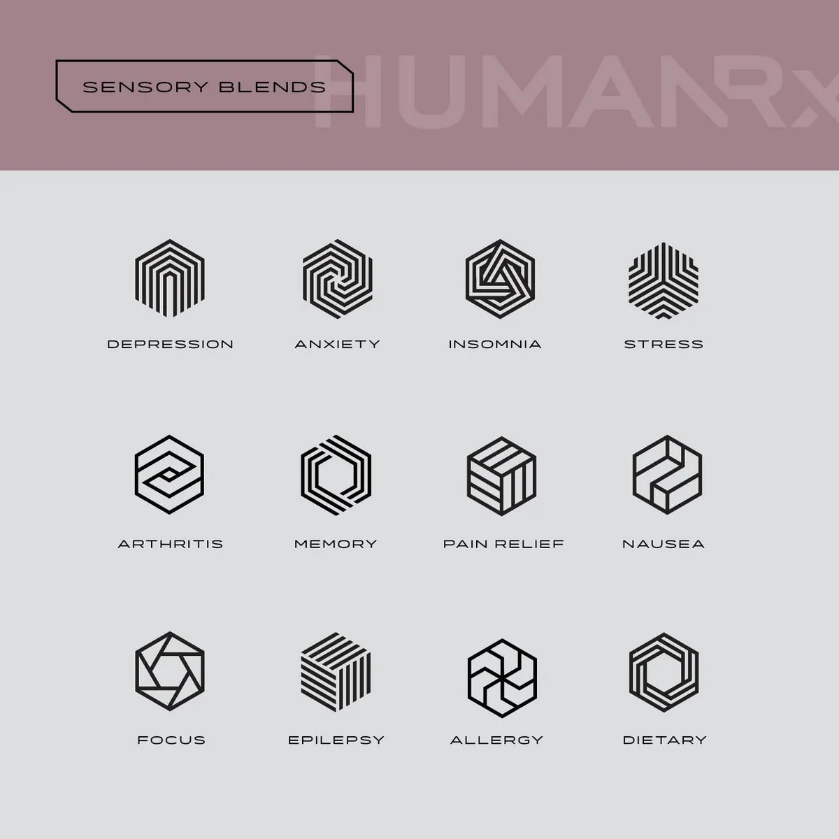 Twelve hexagon icons for the HumanRX sensory blends, from Depression to Dietary